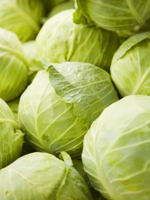 ��׬Ǯ��Ŀ��·����Ũ����Ժ��������